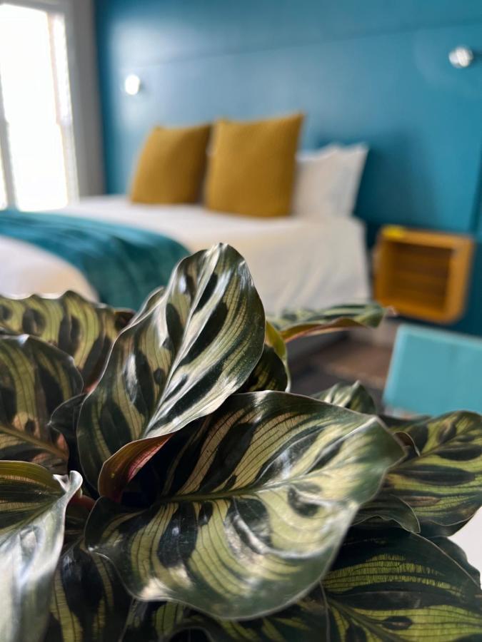 Hermanus Waterfront Apartment No 17 Luaran gambar